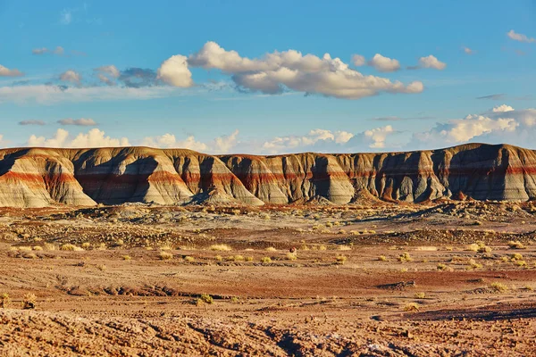 Boyalı Çöl Milli Parkı Arizona Abd Bir Peyzaj Doğal Görünümü — Stok fotoğraf