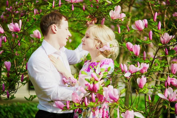 美丽浪漫的情侣下盛开的玉兰树 在春天的一天 — 图库照片