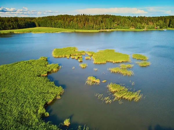 Вид с воздуха на красивое озеро с зеленой травой в сельской местности Финляндии — стоковое фото