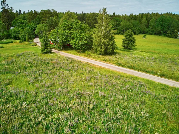 芬兰、北欧农村森林环绕公路的空中景观 — 图库照片