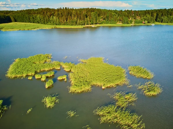 Widok z powietrza na piękne jezioro z zieloną trawą na wsi w Finlandii — Zdjęcie stockowe