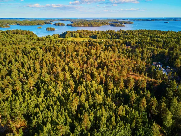 Vista panorámica de arriba hacia abajo del bosque mixto en el campo finlandés, al atardecer —  Fotos de Stock