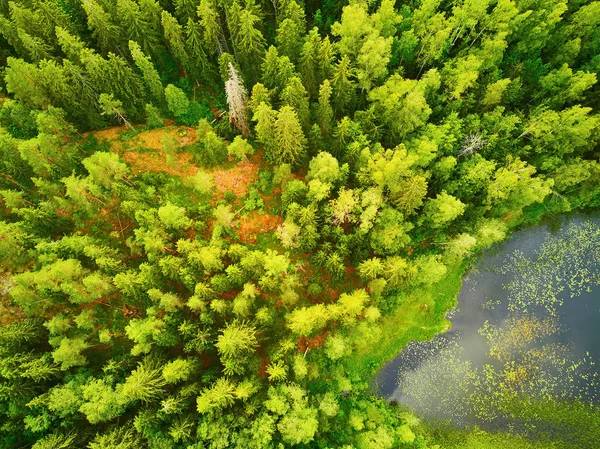 Letecký pohled na jezero Helgtrask v národním parku Sipoonkorpi ve Finsku — Stock fotografie