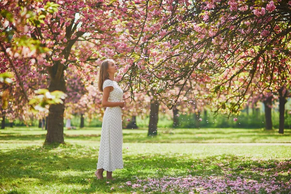 Mulher nova apreciando seu passeio no parque durante a estação da flor da cerejeira em um dia agradável da mola — Fotografia de Stock