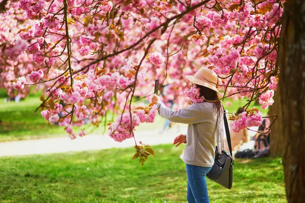 Mulher tirando foto de árvore de flor de cereja rosa em plena floração em um dia de primavera — Fotografia de Stock