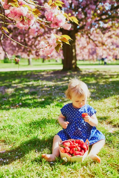 Мила однорічна дівчина сидить на траві і їсть полуницю — стокове фото