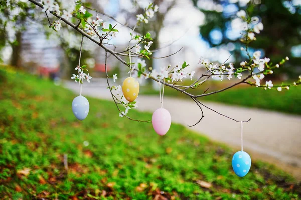 Branche de pommier en pleine floraison décorée d'œufs de Pâques — Photo