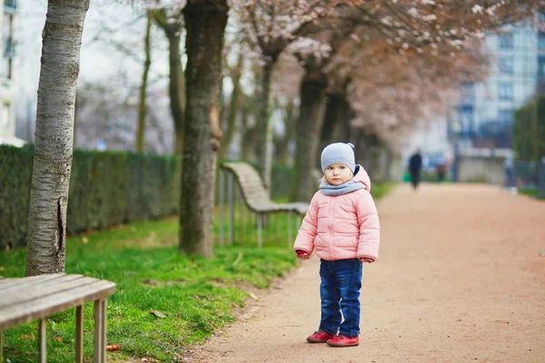 Adorável menina criança no parque parisiense em um dia de primavera ou outono — Fotografia de Stock