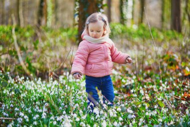 Cute toddler girl standing in the grass with many snowdrop flowers in park or forest