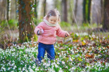 Cute little girl playing egg hunt on Easter