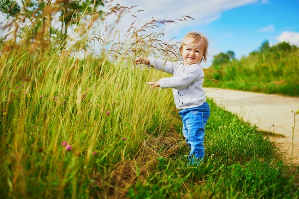 Entzückendes Kleines Mädchen Das Auf Der Grünen Wiese Geht Kleines — Stockfoto