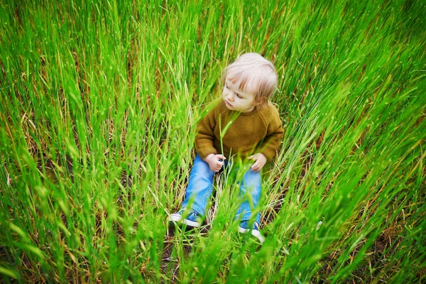 Menina Adorável Caminhando Campo Trigo Verde Criança Divertindo Livre Criança — Fotografia de Stock