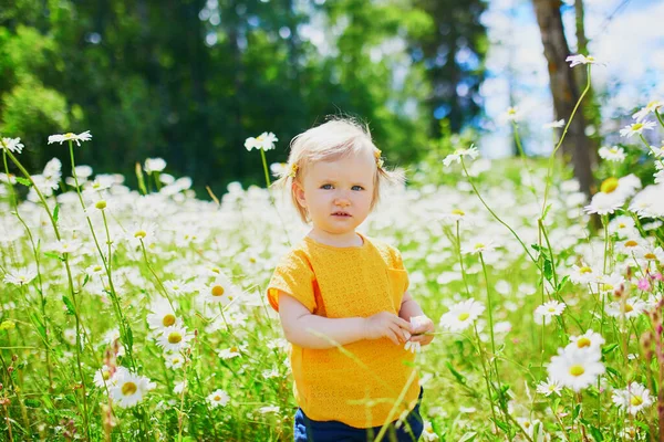 Adorable Baby Girl Amidst Green Grass Beauitiful Daisies Summer Day — Stock Photo, Image