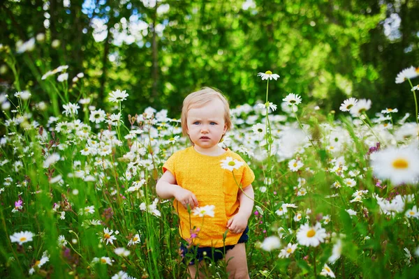 Adorable Baby Girl Amidst Green Grass Beauitiful Daisies Summer Day — Stock Photo, Image