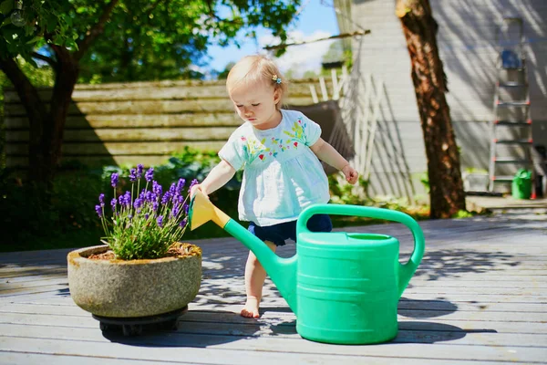 Sevimli bebek kız sıcak bir yaz günü sulama pot ile oynuyor. Küçük çocuk, ebeveynlere bahçeyle ilgilenmeleri için yardım ediyor. Serpme ile çocuk olabilir