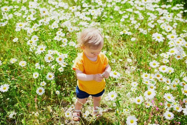 Adorable Baby Girl Amidst Green Grass Beauitiful Daisies Summer Day — Stock Photo, Image