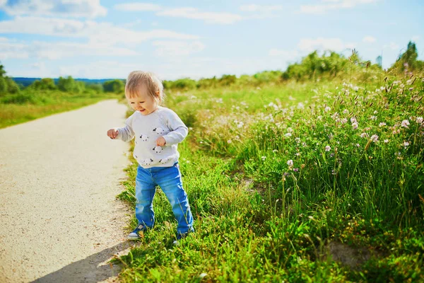 Yeşil tarlada yürüyen sevimli bir kız bebek. Küçük çocuk dışarıda eğleniyor. Doğayı keşfeden çocuk