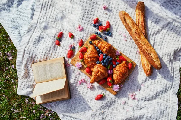 Mooie Picknick Met Rozen Wijn Franse Croissants Verse Bessen Geserveerd — Stockfoto