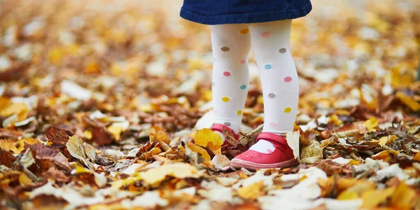 Menina Criança Sapatos Vermelhos Polka Dot Pantihose Folhas Caídas Dia — Fotografia de Stock