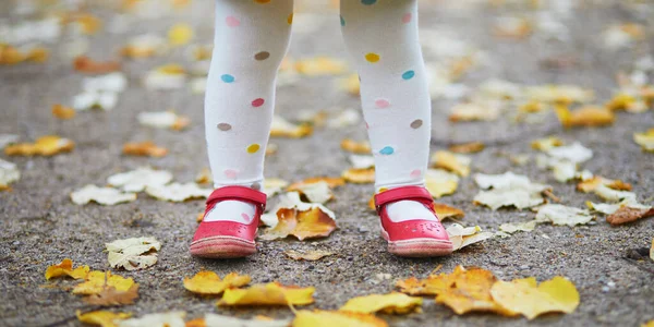 Kislány Piros Cipőben Pöttyös Harisnyában Bukott Leveleken Állva Egy Őszi — Stock Fotó