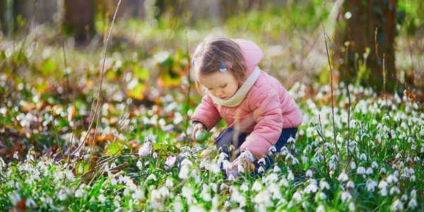 Jolie Petite Fille Jouant Chasse Aux Œufs Pâques Tout Petit — Photo