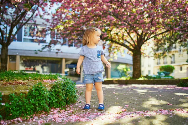 Menina Alegre Dois Anos Divertindo Parque Com Árvores Florescentes Cerejeira — Fotografia de Stock