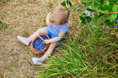 Çiftlikten taze organik yaban mersini toplayan tatlı bir kız. Küçük çocuklar için lezzetli sağlıklı atıştırmalıklar. Küçük çocuklar için açık hava yaz aktiviteleri