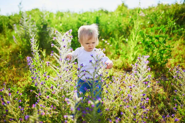 Imádnivaló Kislány Sétál Zöld Mezőn Virágokkal Kisgyerek Jól Érzi Magát — Stock Fotó