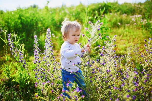 Schattig Meisje Dat Een Groen Veld Met Bloemen Loopt Het — Stockfoto