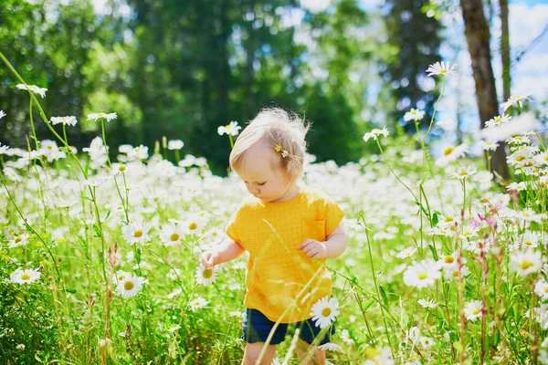 Αξιολάτρευτο Μωρό Κορίτσι Μέσα Από Πράσινο Γρασίδι Και Beauitiful Μαργαρίτες — Φωτογραφία Αρχείου