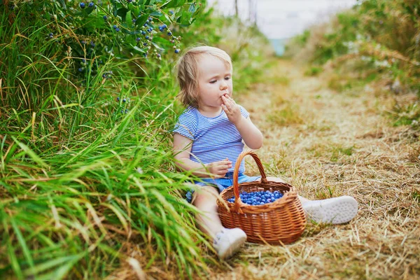 Adorable Niña Recogiendo Arándanos Orgánicos Frescos Granja Delicioso Bocadillo Saludable —  Fotos de Stock