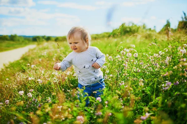 Adorable Baby Girl Walking Green Field Flowers Little Child Having Royalty Free Stock Images