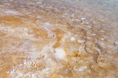  Ölü deniz sahil şeridi.