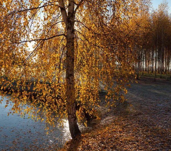 Hösten vid sjön. — Stockfoto