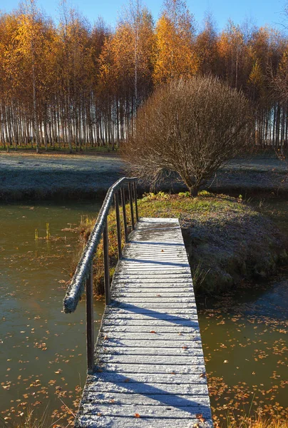 Puente sobre el lago . —  Fotos de Stock