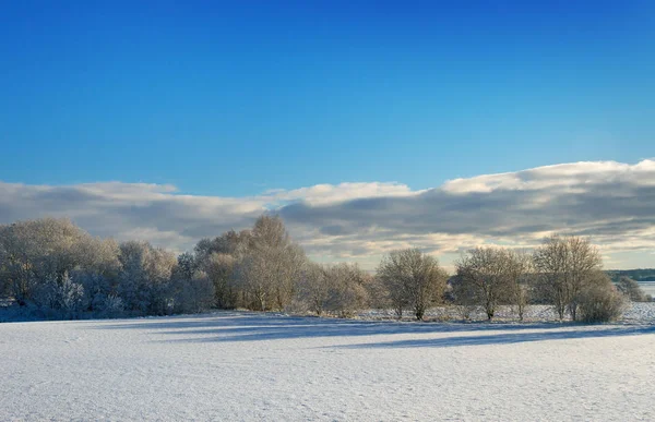 Paysage rural en hiver. — Photo