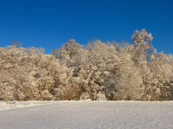 Landschaft mit Schnee. — Stockfoto