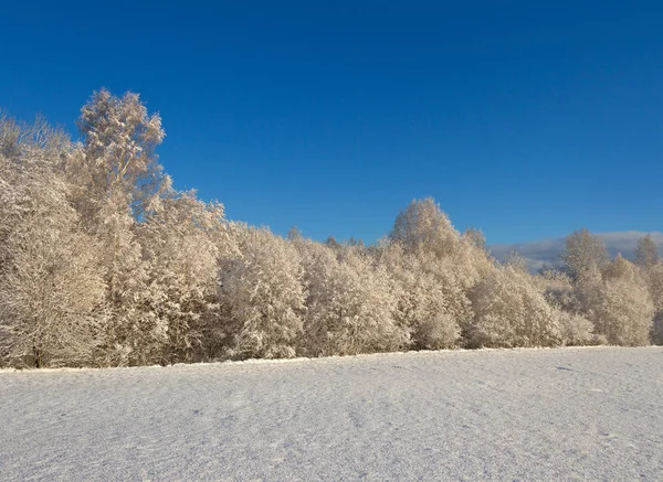 Krajina pod sněhem. — Stock fotografie