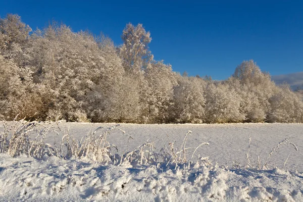 Landsbygden med snö. — Stockfoto