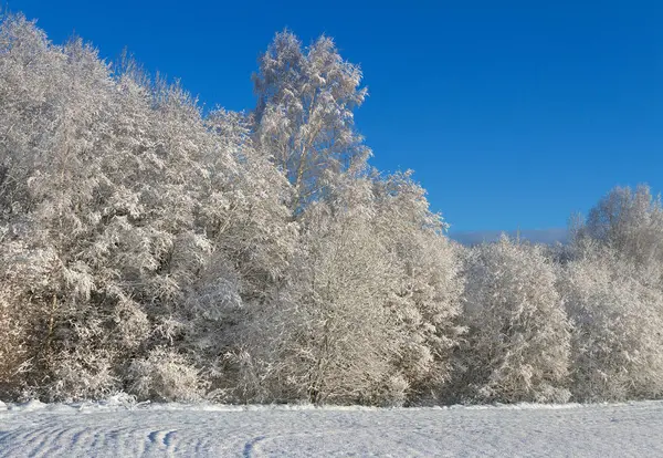 Paisaje rural en invierno. —  Fotos de Stock