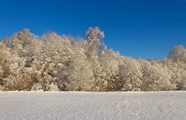 Landsbygden med snö. — Stockfoto