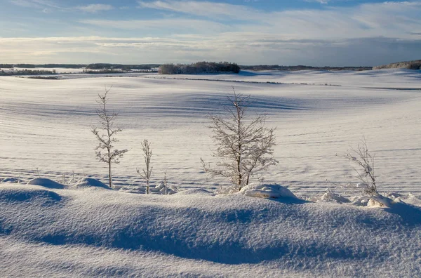 Kış kırsal manzara. — Stok fotoğraf