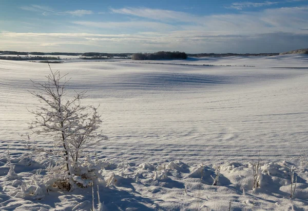 Landsbygden vinterlandskap. — Stockfoto