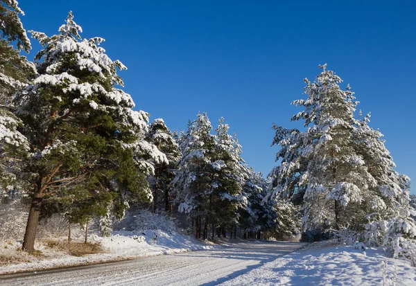 Estrada de campo em um inverno . — Fotografia de Stock