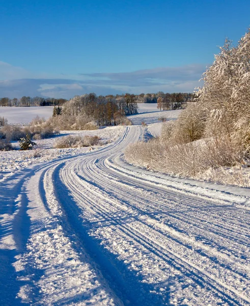 Landsbygden road i en vinter. — Stockfoto