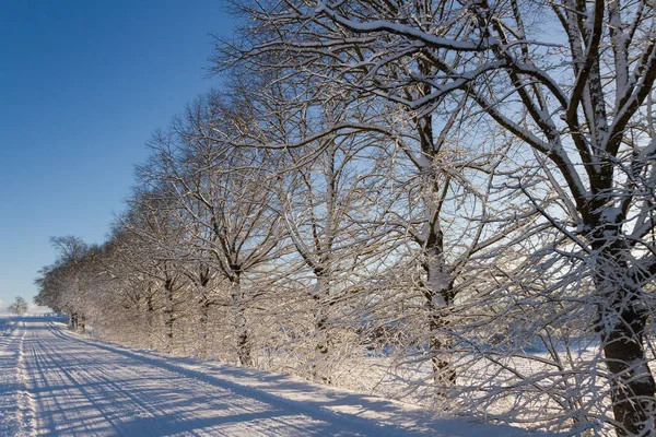 Cesta přírody v zimě. — Stock fotografie