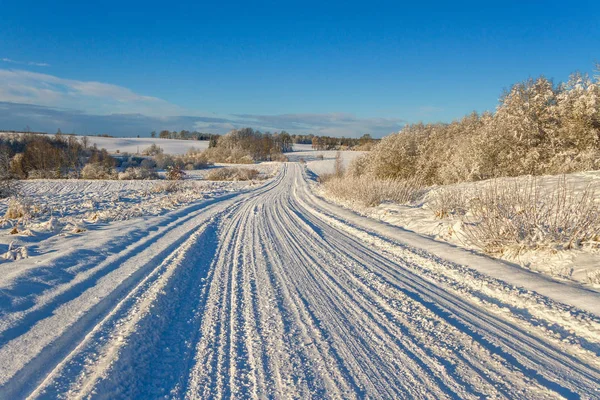Kırsal yol bir kış. — Stok fotoğraf