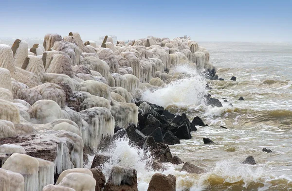 Liepaja에 북쪽 두더지. — 스톡 사진