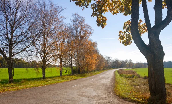Country road na začátku podzimu. — Stock fotografie