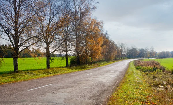 Route de campagne au début de l'automne . — Photo